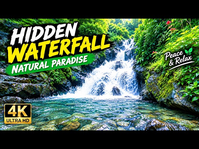 Hidden Jungle Waterfall 🌿 Relaxing Nature Sounds for Sleep, Study & Meditation