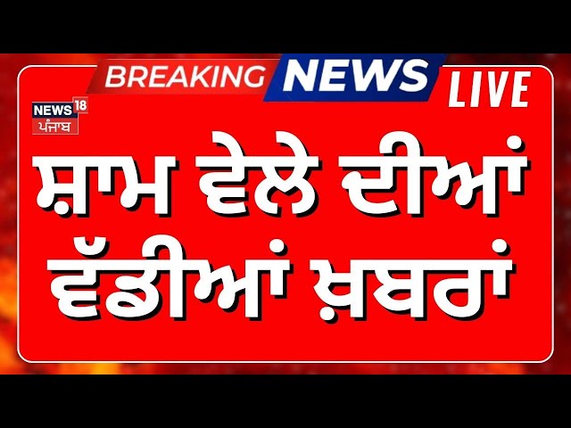 Latest News Live | ਸ਼ਾਮ ਵੇਲੇ ਦੀਆਂ ਵੱਡੀਆਂ ਖ਼ਬਰਾਂ  |Zila Parishad Elections 2025 | Channi | CM Mann