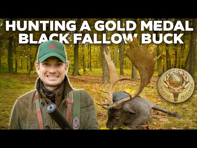 Franz-Albrecht Hunts his First ever Gold Medal Black Fallow Buck