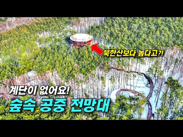 A forest observatory without stairs, is this the view?!