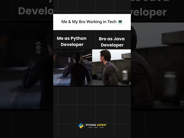 Me & My Bro Working in Tech 😂💻 Python vs Java Developer! #Shorts #developer #python #java #tech #fyp