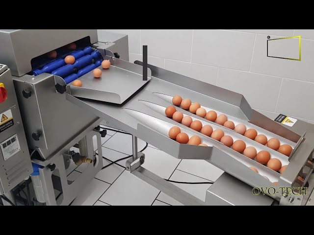 EGG TUNNEL WASHER + BREAKER ▶ Amazing Machines | New Research | latest update