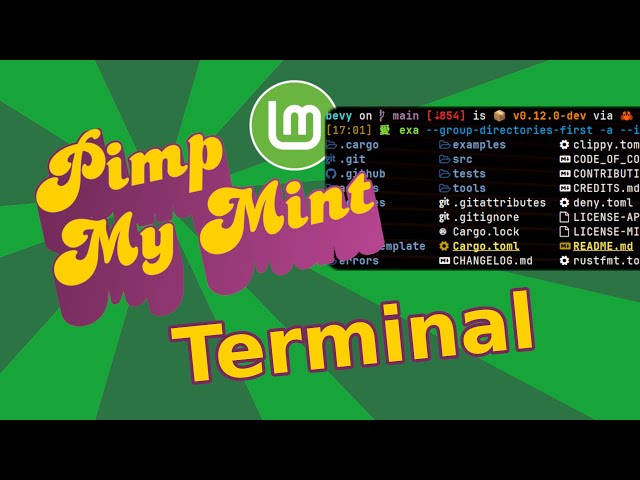Upgrade your terminal with 🐟️🐚️, ⭐️🚢️ and 🦇️