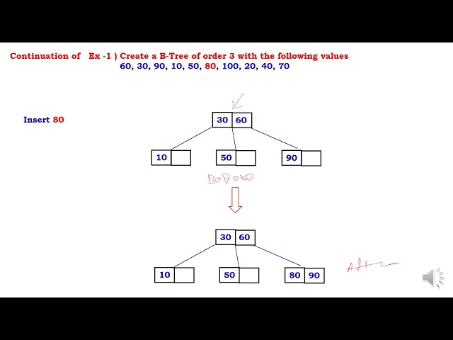 B Trees   Insertion  Creation   Example 1