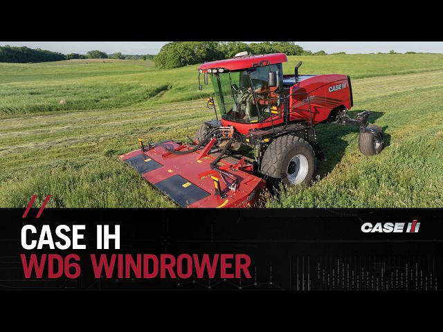 Case IH WD6 Series Windrower | Built for More Hay, More Acres, More Productivity
