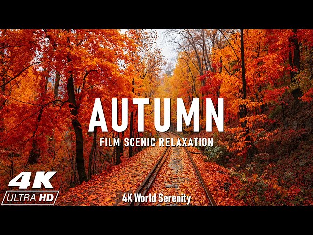 🍂Autumn 4K 🍁 Serene Fall Landscapes for Relaxation, Peace & Cozy Moments with Calming Music