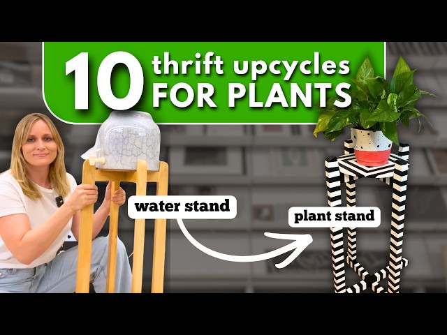 10 Easy Thrift Flips for Your Plants! Budget-Friendly Decor