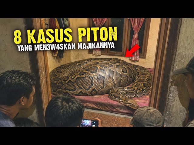 A Series of Cases Where Pet Pythons Killed Their Owners