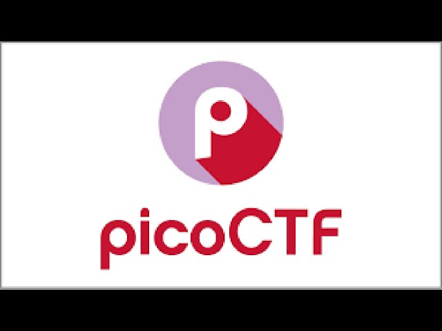 format string 0 - picoCTF
