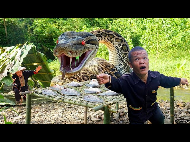 Dwarf Family Faces Giant Python While Fishing and Preserving Fish the Primitive Way