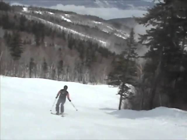 Telebumpers 2011
