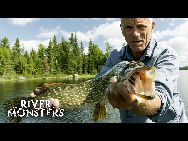 River Monsters Full Episode - Season 7, Episode 4 - Canadian Horror