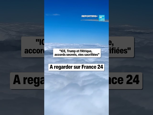 Le "wrap", un système de contention prisé de l'ICE • FRANCE 24