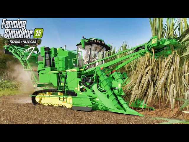John Deere CH950 Sugarcane Harvest - Raw Gameplay | FS25 Beans & Alpacas Expansion