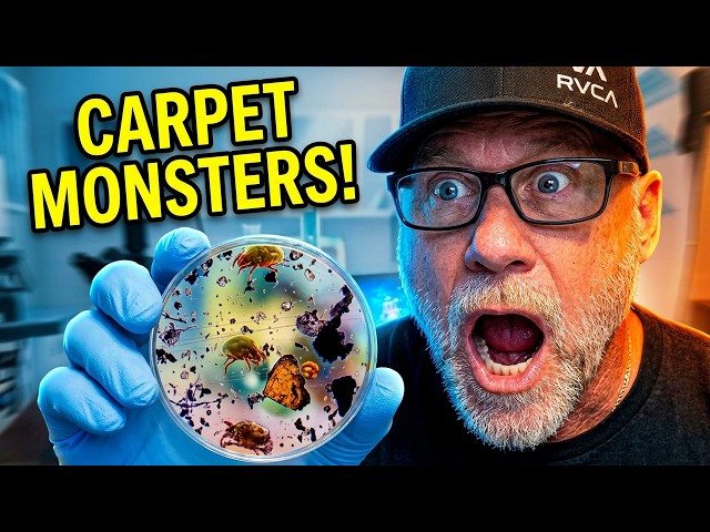 I Looked at My Carpet Under 1000x Magnification... Huge Mistake