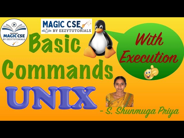 Basic commands in Unix and Linux