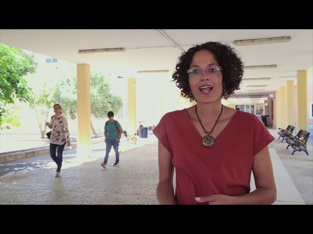 International Business & Culture program