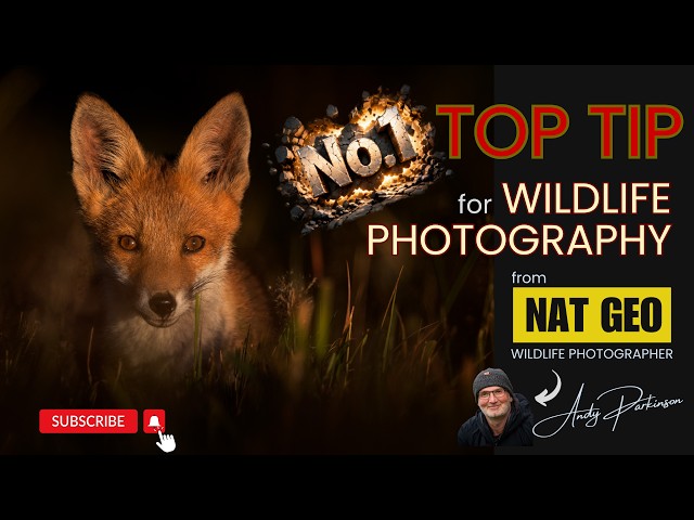 El consejo número 1 de fotografía de vida silvestre del fotógrafo de NAT GEO Andy Parkinson