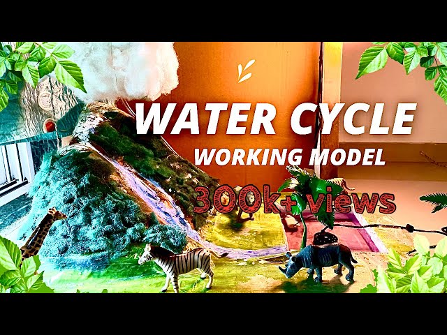 Water cycle working model #science #schoolproject #watercycle NakulSahuArt