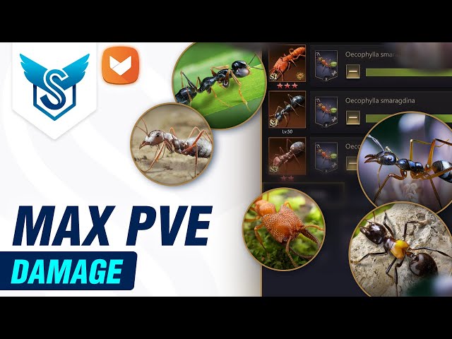 STOP Using Wise Berserker! 🚫 The New F2P Damage King - The Ants: Underground Kingdom [EN]