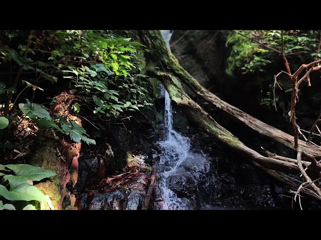 Relaxing Music, Sleep Music, Water Sounds, Meditation Music, Healing Piano for Tranquility and Peace