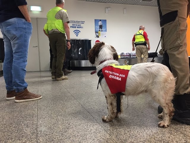 The Malta Customs Department: Reaching New Heights