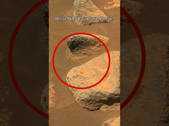 NASA's Sol 78 Update Will Blow Your Mind
