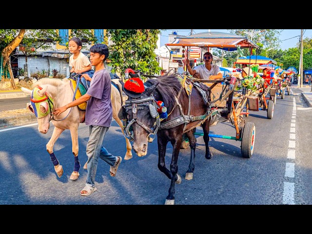 THE SPECIAL HORSE-DRAWN CARRIAGE SONG 🐴 Indonesian Children's Song | Joyful Horseback Ride