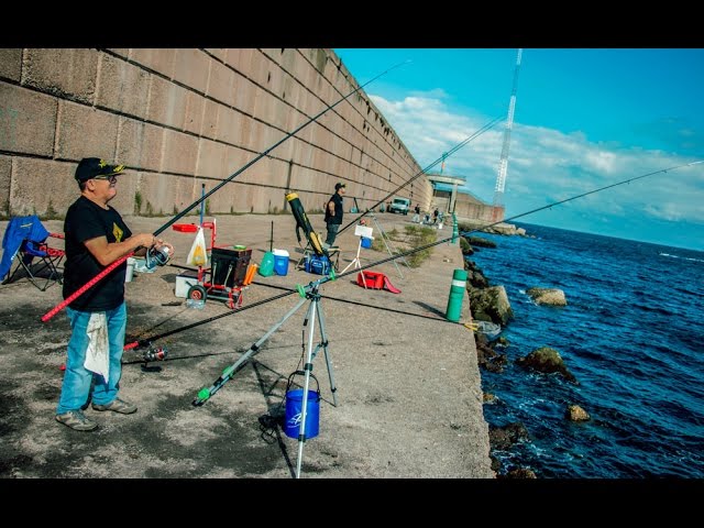 SURFCASTING FOR BEGINNERS: RIG, TIPS, AND RECOMMENDED EQUIPMENT
