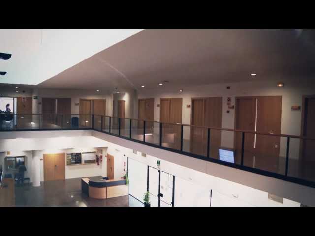 The Institute "Center of Operations Research" (CIO)