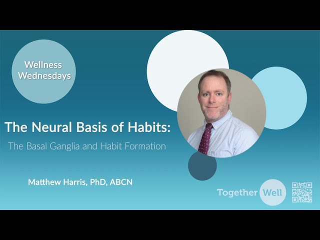 The Basal Ganglia and Habit Formation | The Neural Basis of Habits | TogetherWell