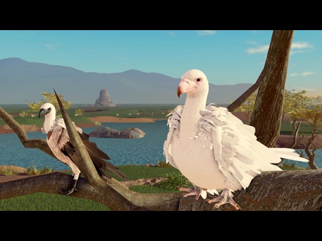 Preview Vulture - Savannah Life 🦅🌿
