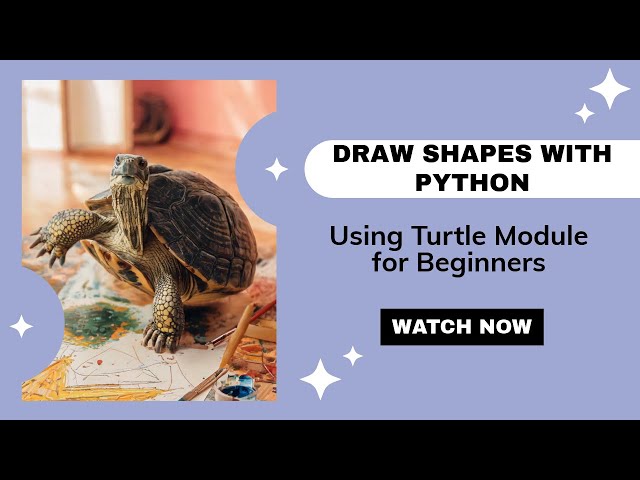 Most Basic Turtle Program For Beginners | PYTHON CODING | PROgrammerEXE