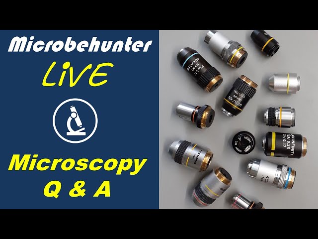 Answering microscopy questions - microscope Q & A