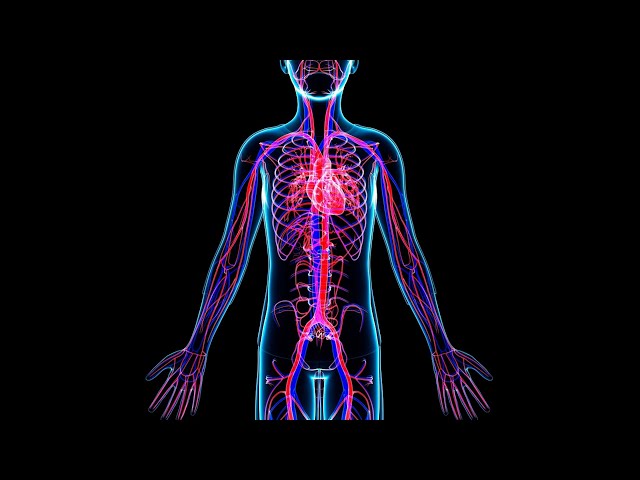 Mayo Clinic Minute: How vasculitis affects the body
