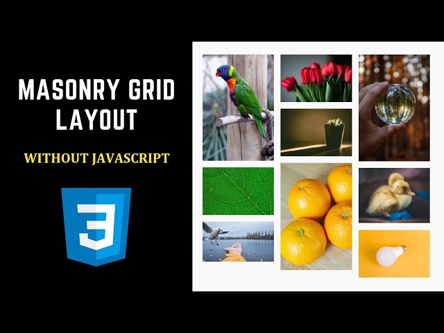 CSS Tips & Tricks: Creating a Masonry Grid Layout with Pure CSS, No JavaScript Required