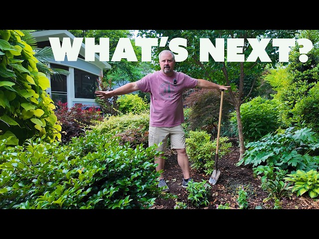 We Came Home With Plants... and Incredible Garden Tour Videos
