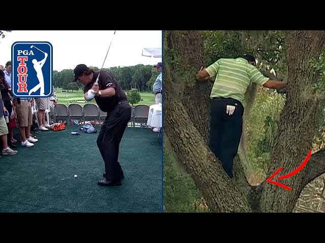 WHAT ARE THE ODDS?! | Golf balls landing in weird places