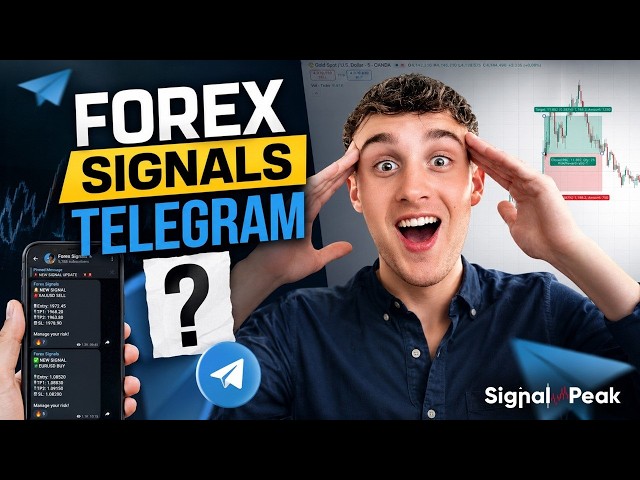 Forex Signals Telegram? Forex Signal for Beginners Guide (2026)