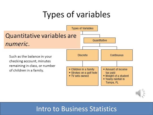 Introduction to Business Statistics: Lesson #1 - Definitions and terminology