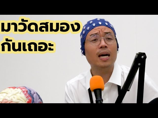 Brain Code Cast ถอดรหัสสมอง EP. 4 (ครึ่งแรก) - วิธีวัดสมองแบบจิ้มทีละเซลล์ vs วัดรอบหัว