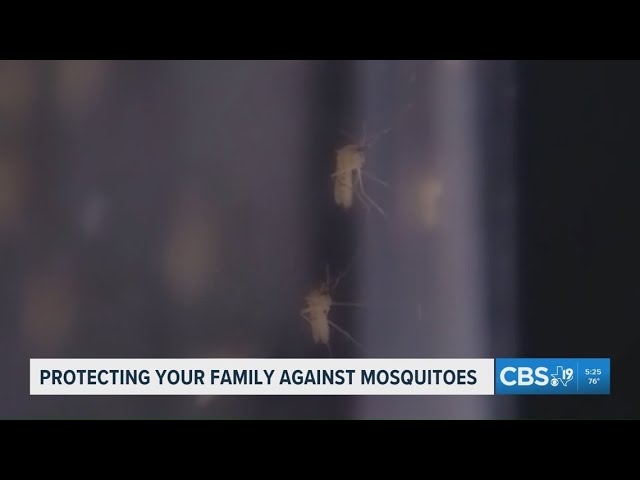 Experts urge mosquito protection as disease risks rise in summer