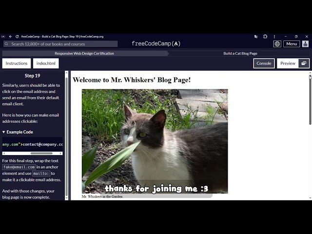 #1 building a cat blog page step-by-step on freeCodeCamp (ft. HTML) - lofi chill coding