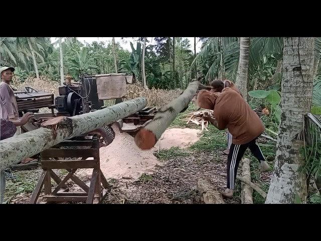 Heavy Work! A Strong Team Processing Wood with a Sawmill Machine 🌳🪵💪