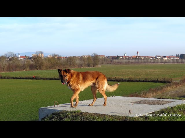 Brežiške ulice ob Vrbini