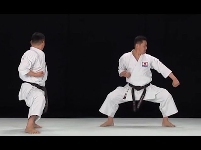 Gekisai Dai Ichi Kata Instructional