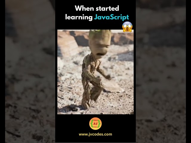 When started learning JavaScript #shorts #javascript #coding