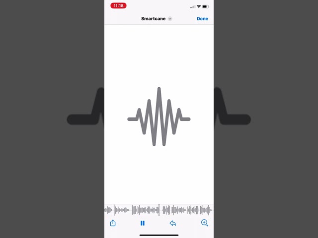 Smart cane audio