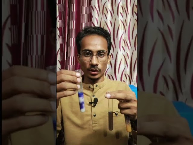 🧑‍🔬Test for Protein🧪 | Class 6 Science Chapter 2 | Learn Practically #science #class6 #proteintest