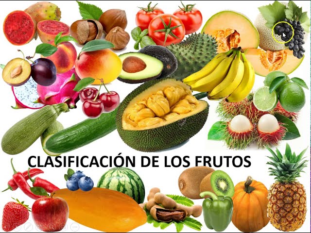 El fruto
